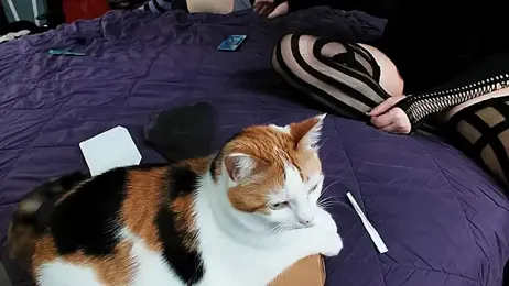 PolyCircus webcam model stream image