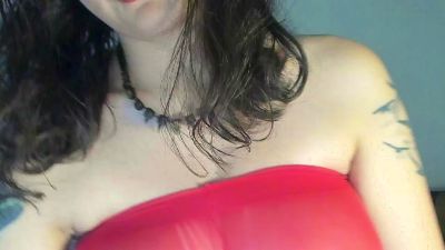 PetitSimonett webcam model stream image