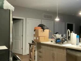 discgolf4life webcam chaturbate model stream image