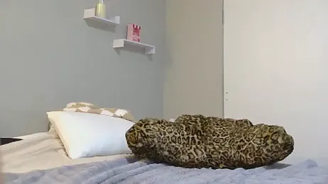 alex_callmemaybe webcam model stream image