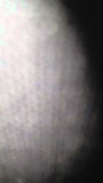Intimocd webcam model stream image