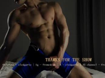fromedcam webcam model stream image