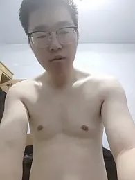 gscdc265 webcam model stream image