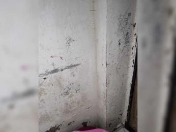 Mascotuni webcam model stream image