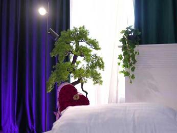 ArtTeasee webcam bongacams model stream image