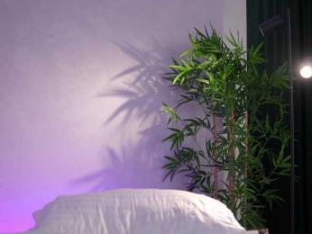 ArtTeasee webcam bongacams model stream image