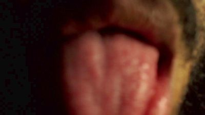 Mikesfyres webcam model stream image