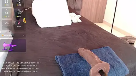 Diegoarctic webcam model stream image