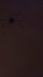 Luluchatte webcam cam4 model stream image