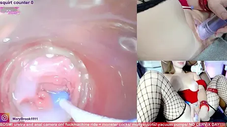 MaryBrook1 webcam model stream image