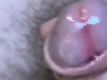 hey_arnold webcam model stream image