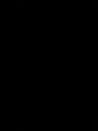 Lander_Cruz webcam model stream image