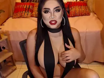 TRANSLUNAA webcam model stream image