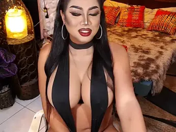 TRANSLUNAA webcam model stream image