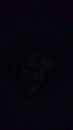 mehs5 webcam model stream image