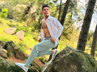 Andrew Hallss webcam model stream image