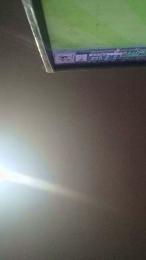 lucifer497 webcam model stream image