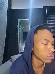 BlueIceCube webcam model stream image