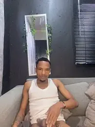 BlueIceCube webcam model stream image