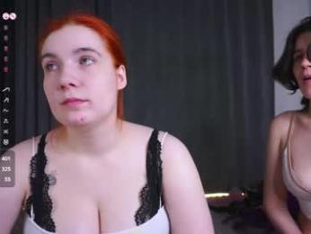 pure_project webcam model stream image