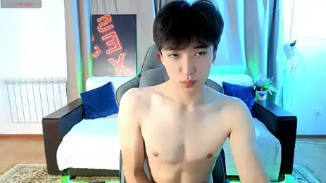 DianInav webcam model stream image