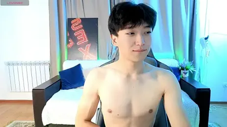 DianInav webcam model stream image