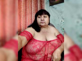 Nezsbudka webcam model stream image