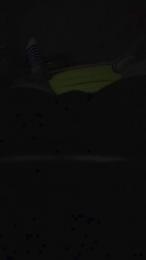 francesc1009 webcam cam4 model stream image