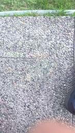 francesc1009 webcam model stream image