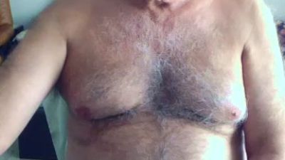 horny60bear webcam model stream image