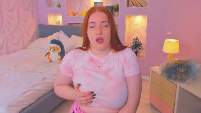 GingerDryer webcam model stream image