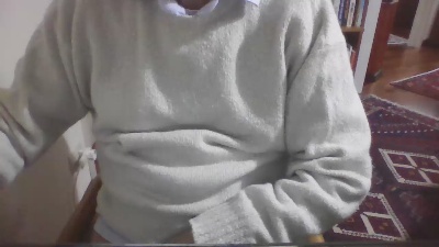 costan3 webcam model stream image