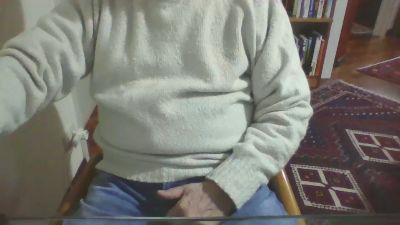 costan3 webcam model stream image