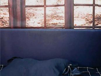 cherryindian4u webcam model stream image