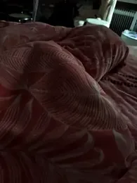 abcd1687 webcam stripchat model stream image