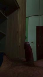 cazzo501 webcam model stream image