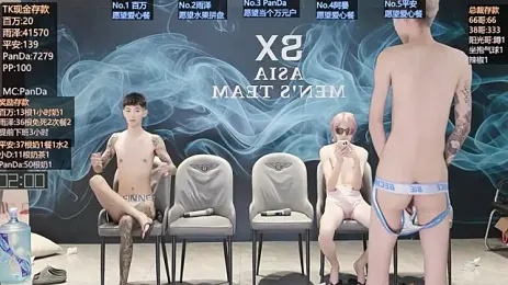 SX-008 webcam model stream image