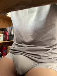 snowmelt1 webcam model stream image