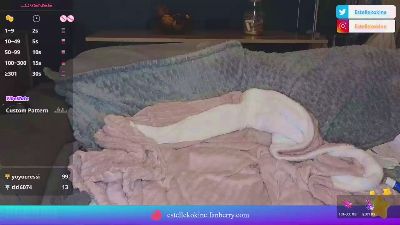 Estellekokine webcam model stream image