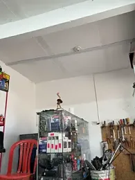 Paul22cm- webcam model stream image