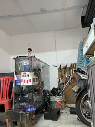 Paul22cm- webcam model stream image