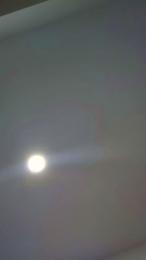 didi2081 webcam cam4 model stream image