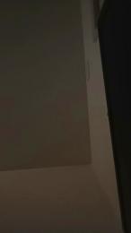 didi2081 webcam model stream image