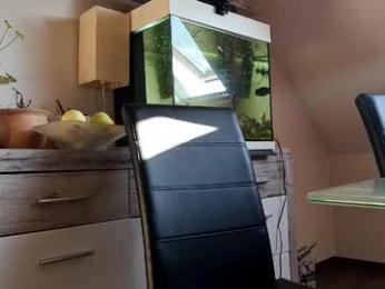 denise_brad webcam chaturbate model stream image