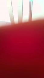 puta270 webcam model stream image