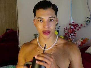 Troye Williams webcam model stream image