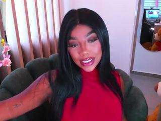 teerry webcam model stream image