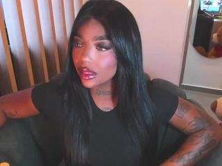 teerry webcam model stream image