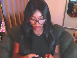 teerry webcam model stream image