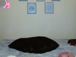alanabest79 webcam model stream image